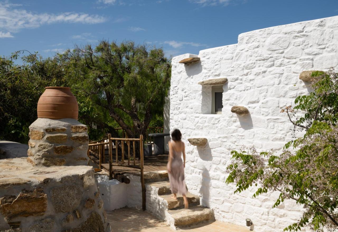 Bed and Breakfast Ikies of Mykonos Mykonos Town Zewnętrze zdjęcie